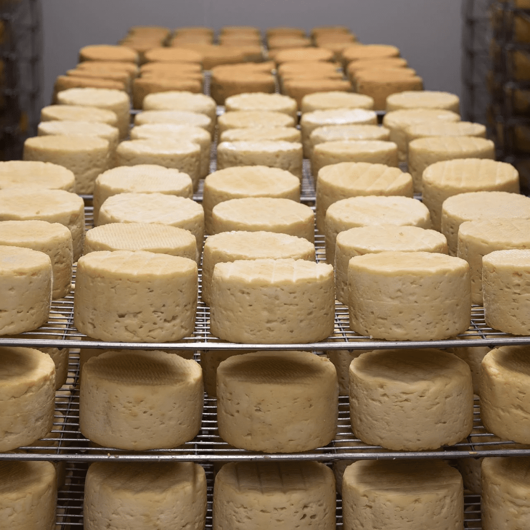 Indústria de Queijos