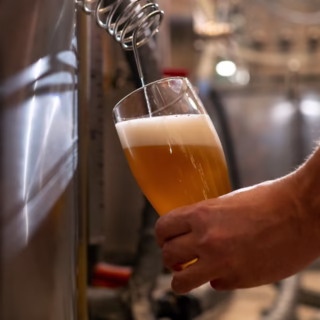 art. Processos Térmicos em uma Fábrica de Cerveja capa